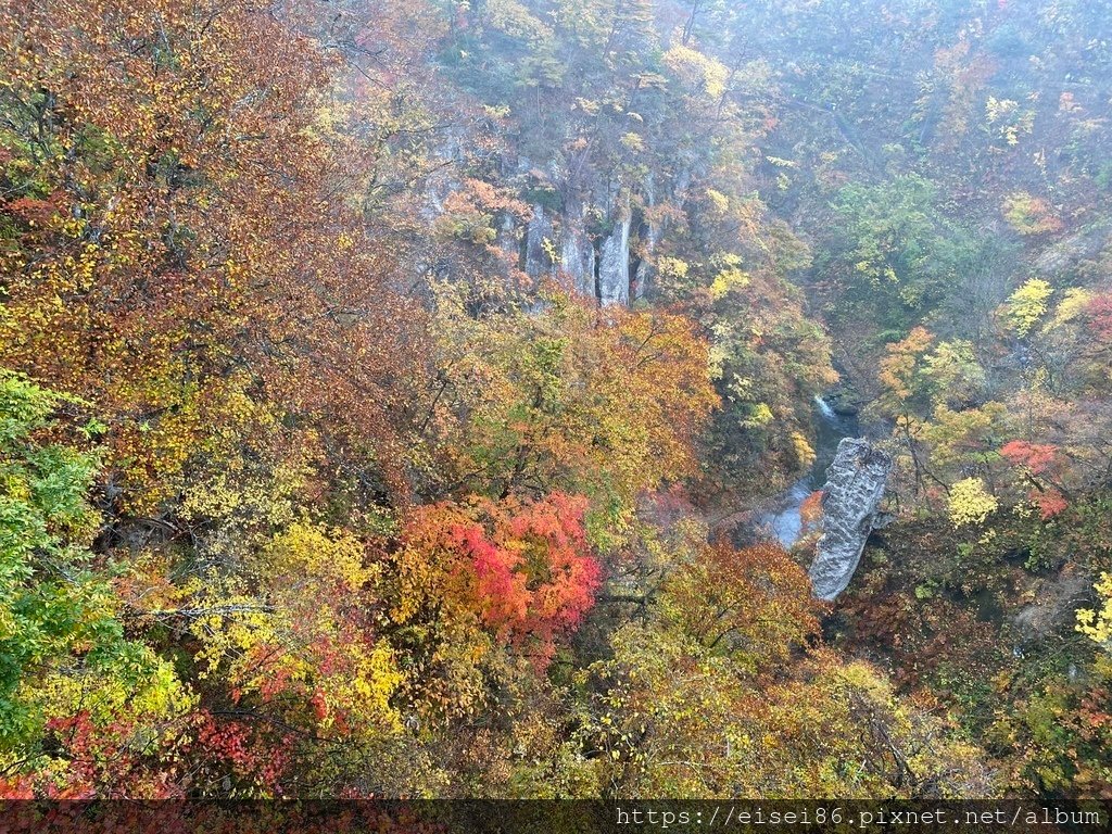 ★紅葉東北D6★東北賞楓葉名所鳴子峽ｘ陸奧森林湖畔公園
