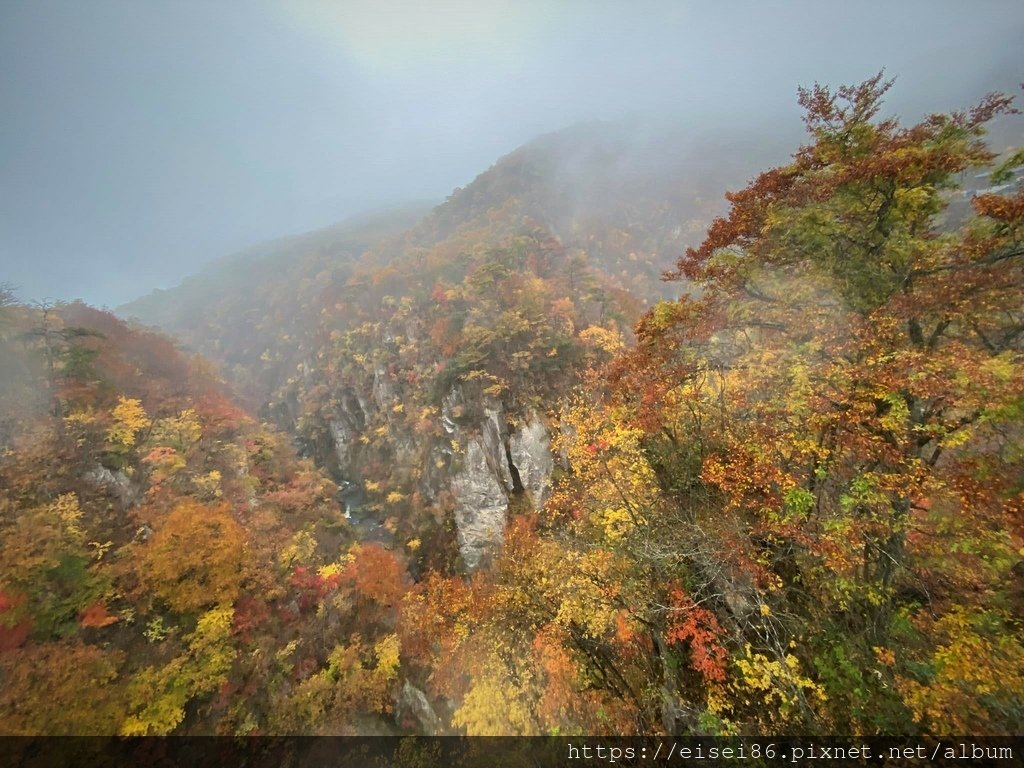 ★紅葉東北D6★東北賞楓葉名所鳴子峽ｘ陸奧森林湖畔公園