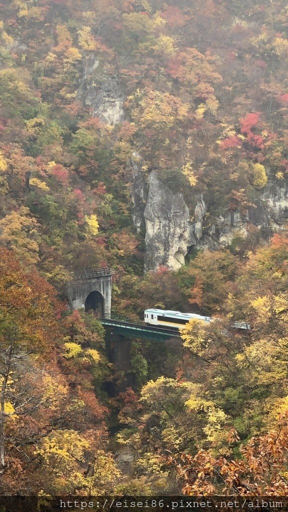 ★紅葉東北D6★東北賞楓葉名所鳴子峽ｘ陸奧森林湖畔公園