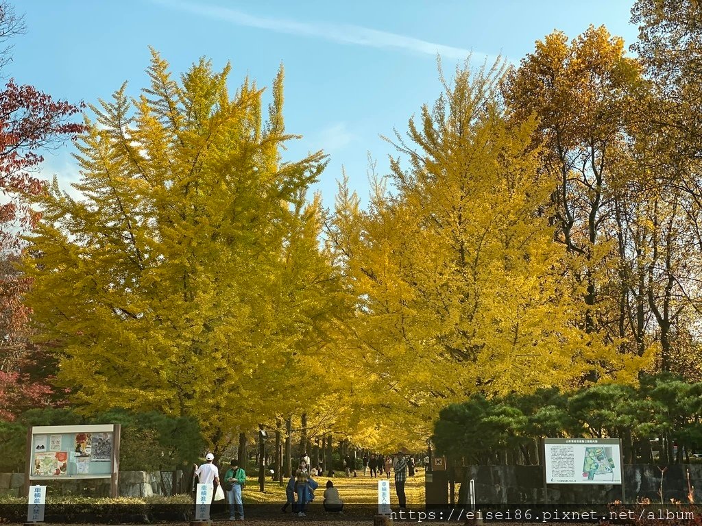 ★紅葉東北D6★東北賞楓葉名所鳴子峽ｘ陸奧森林湖畔公園