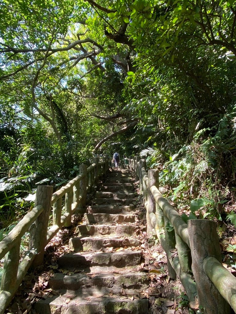 【北投】走讀貴子坑北投社、三層崎花海及白土採礦場〈呂福光老師