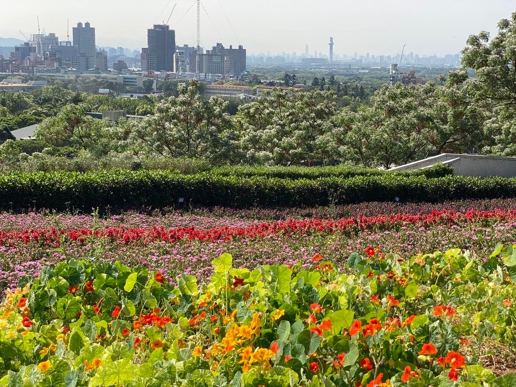 【北投】走讀貴子坑北投社、三層崎花海及白土採礦場〈呂福光老師