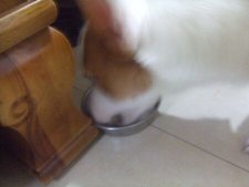 DSCF8718.jpg