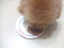 DSCF8716.jpg