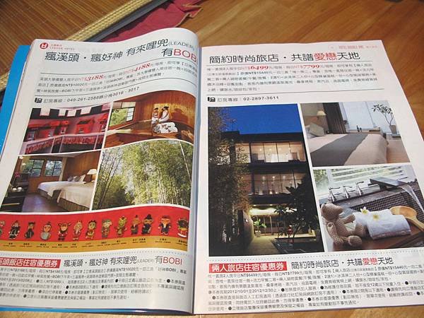 照片 202