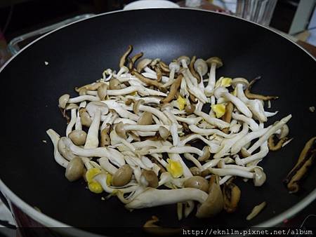 放入珊瑚菇
