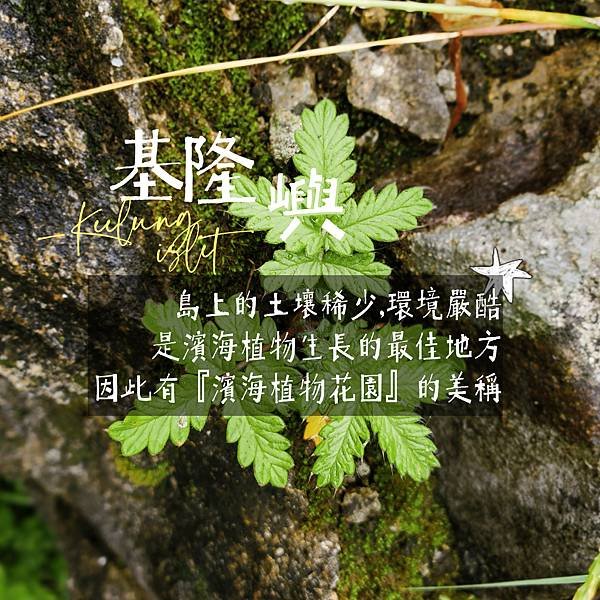 | 基隆 | 基隆嶼 | 【嶼上寶藏：360度湛藍海景盡收眼