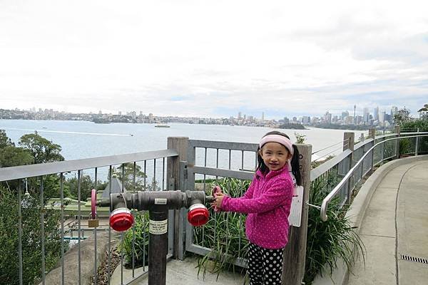 IMG_2896.JPG