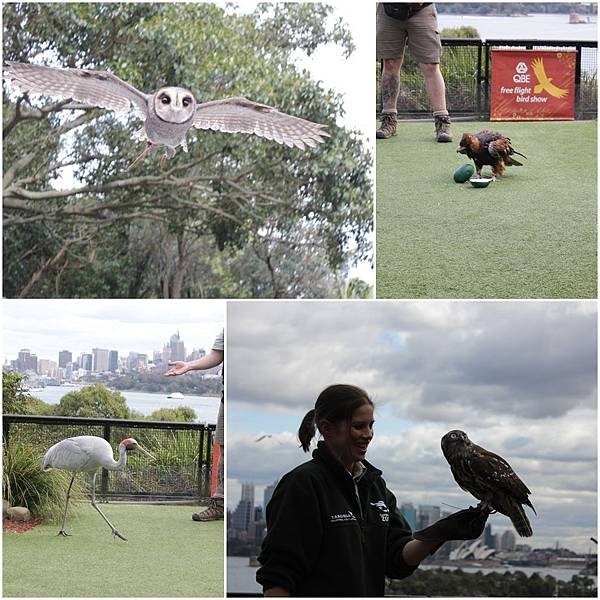 zoo2.jpg