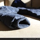 IMG_7498