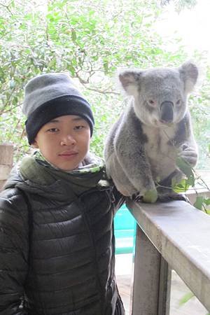 1-2014.06.15-koala park (25)