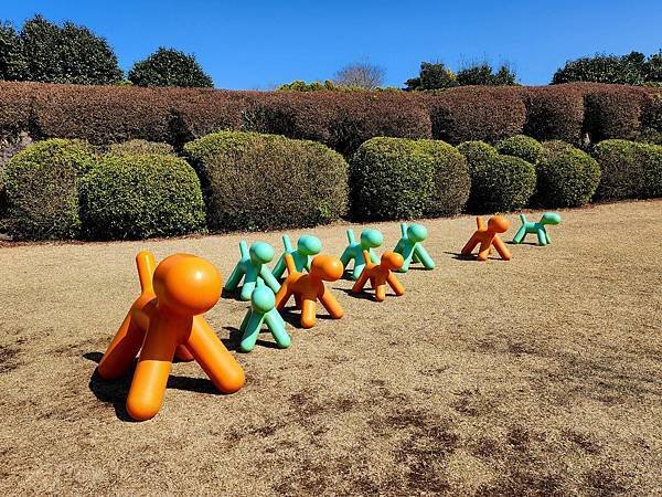 【2024韓國濟州島】像在公園散步一樣悠閒〜