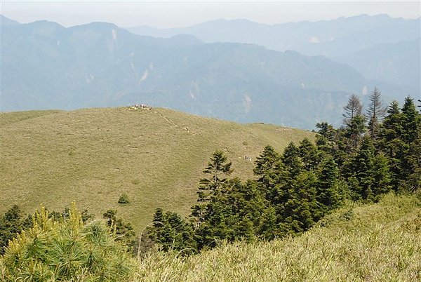 合歡群峰慶百岳_205.JPG