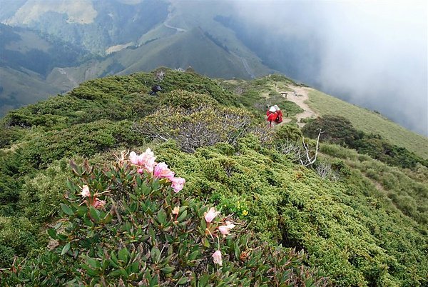 合歡群峰慶百岳_86.jpg