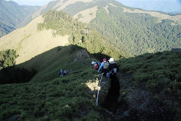 合歡群峰慶百岳_182.JPG