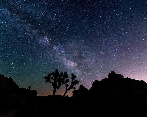 desert-night-sky-starry-night.jpg