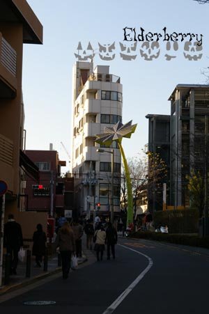 IMGP7230.jpg