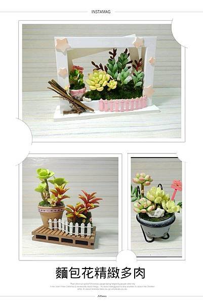♥麵包花精緻多肉認定證