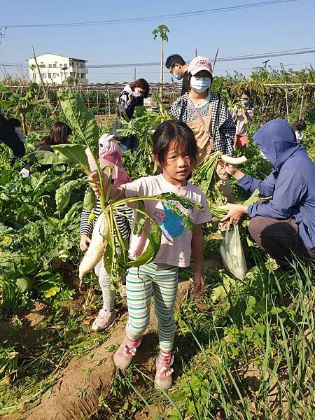 ♥【瑪格莉納親子課程】免費一日農夫體驗🧑‍🌾拔蘿蔔親子活動