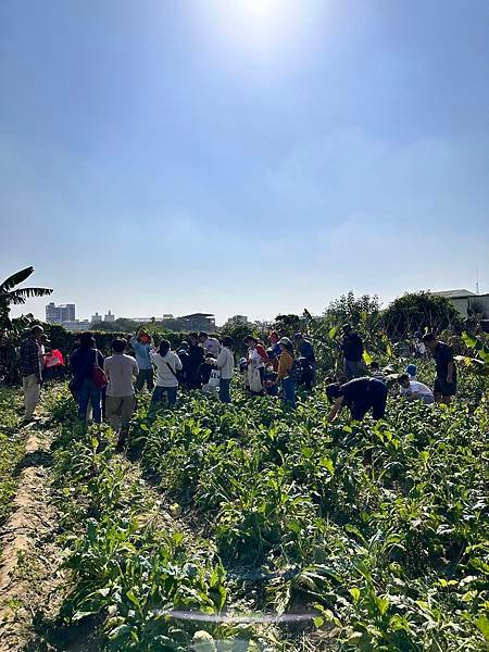 ♥【瑪格莉納親子課程】免費一日農夫體驗🧑‍🌾拔蘿蔔親子活動