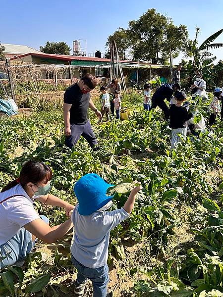 ♥【瑪格莉納親子課程】免費一日農夫體驗🧑‍🌾拔蘿蔔親子活動