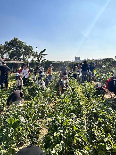 ♥【瑪格莉納親子課程】免費一日農夫體驗🧑‍🌾拔蘿蔔親子活動