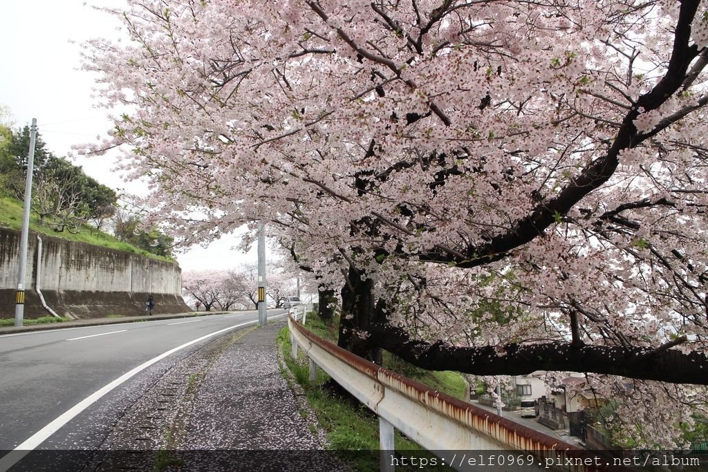 16 日本三原市一隅 2015.04.05(001).jpg