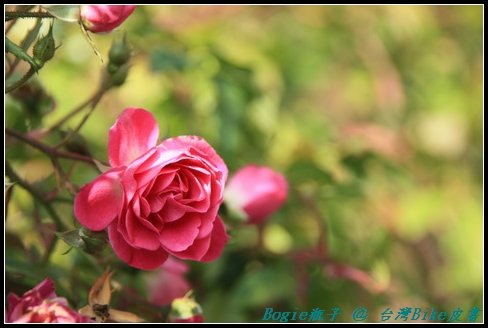 IMG_3815.jpg