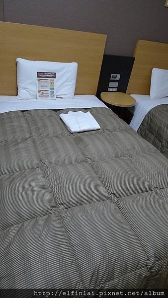 L1030467.jpg