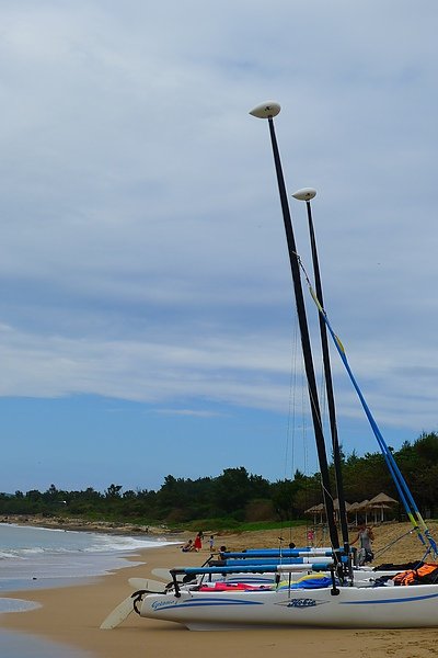P1000661.JPG