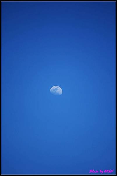IMG_1890.jpg