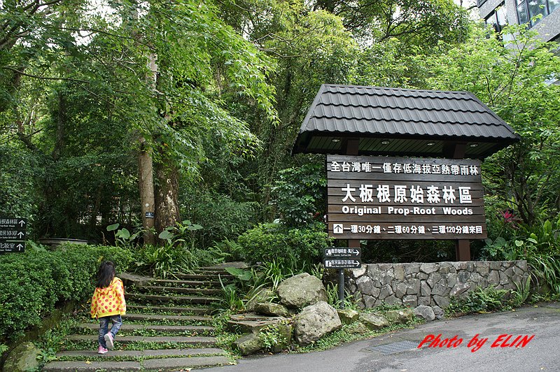 1030501.02.03-三義木雕街&amp;四月雪小徑&amp;賴新魁麵館&amp;渴望會館&amp;小人國&amp;大阪根森林溫泉酒店&amp;三峽老街&amp;鶯歌陶瓷老街-82.jpg