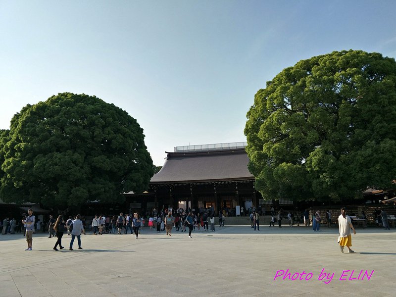 20180526_0530-日本東京自由行5日遊 2018-05-27 16_29_470339.jpg