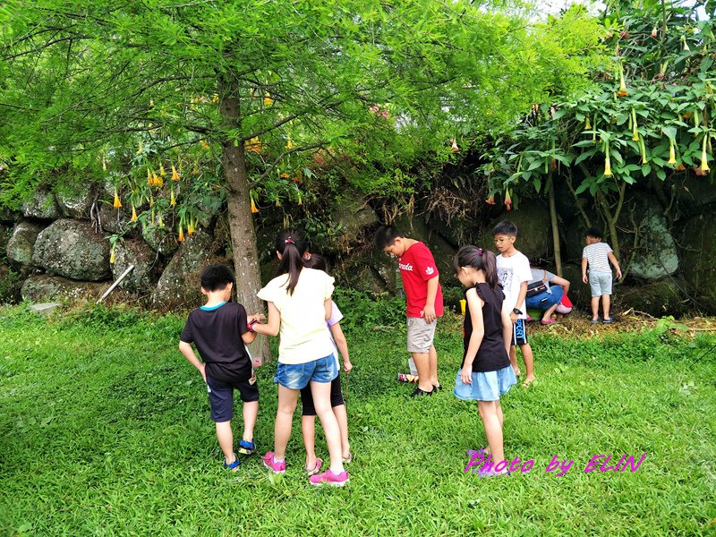 1080427.28-阿里山石窯園與螢共枕露營趣&amp;奮起湖-20.jpg