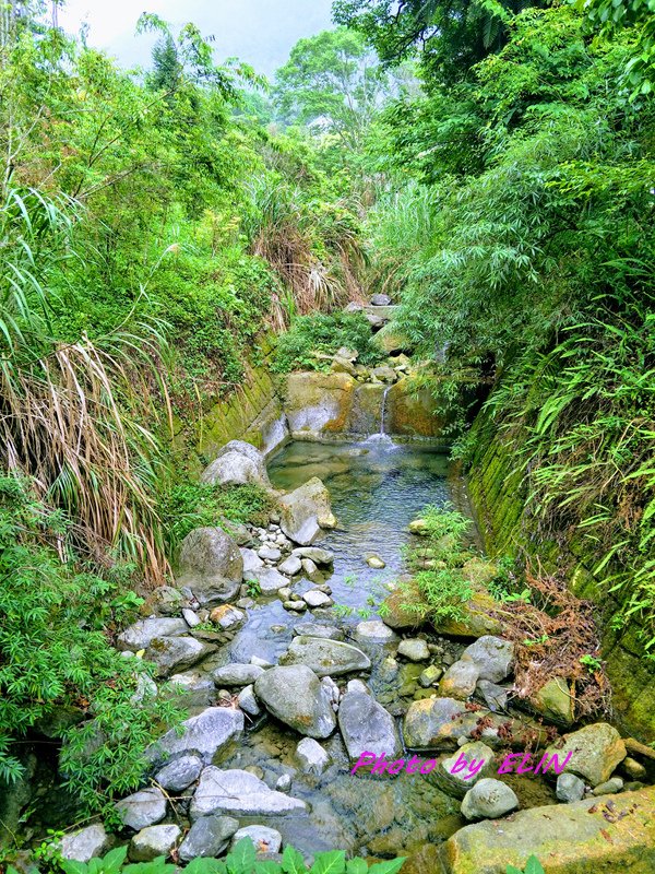 1080427.28-阿里山石窯園與螢共枕露營趣&amp;奮起湖-28.jpg