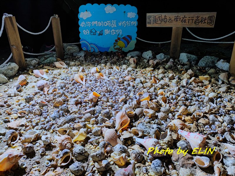 1090328.29-墾丁秘境“九棚鼻頭草原”探索之旅%26;大仁哥廚房%26;山下人家%26;高水農莊%26;寄居蟹導覽-36.jpg