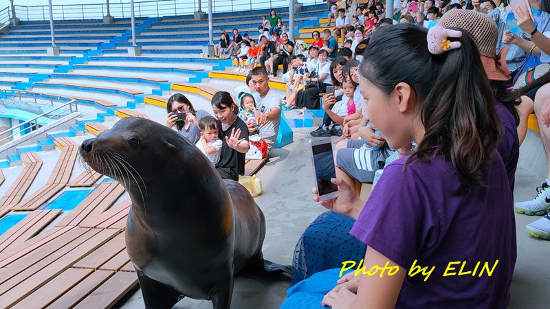 1090808.09.10.11-暑假之旅北部四日遊-117.jpg