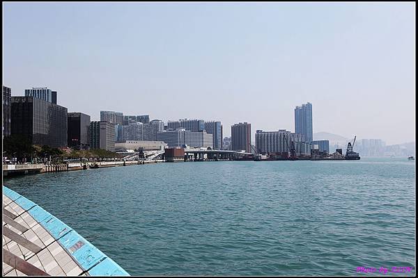 IMG_8126.jpg