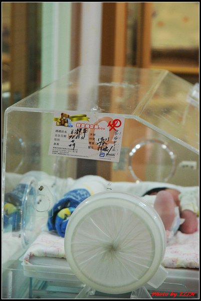 保溫箱-1.jpg