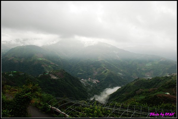 清境豐田農場-早晨-2.jpg