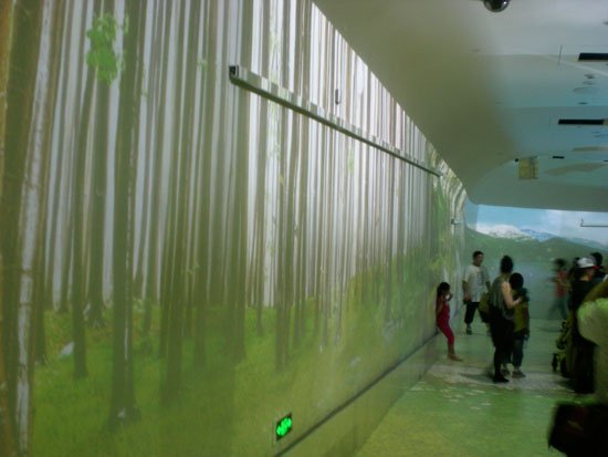 DSCN2509.jpg