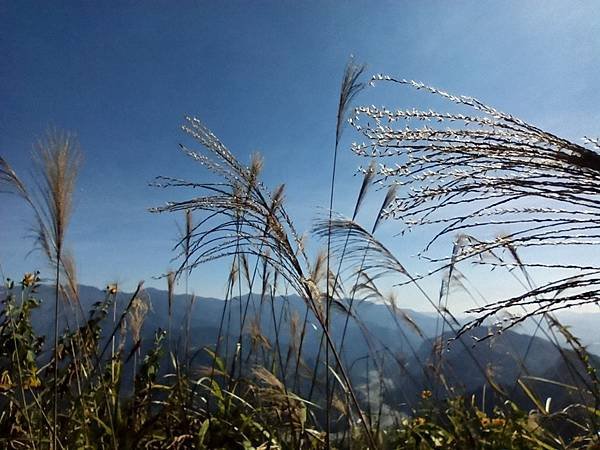 2019119 馬拉邦山_191112_0029.jpg
