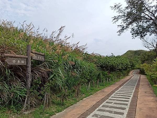 202057後龍好望角_200507_0023.jpg
