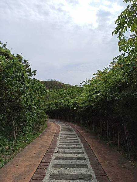 202057後龍好望角_200507_0024.jpg