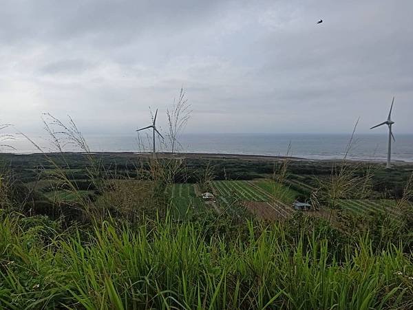 202057後龍好望角_200507_0013.jpg