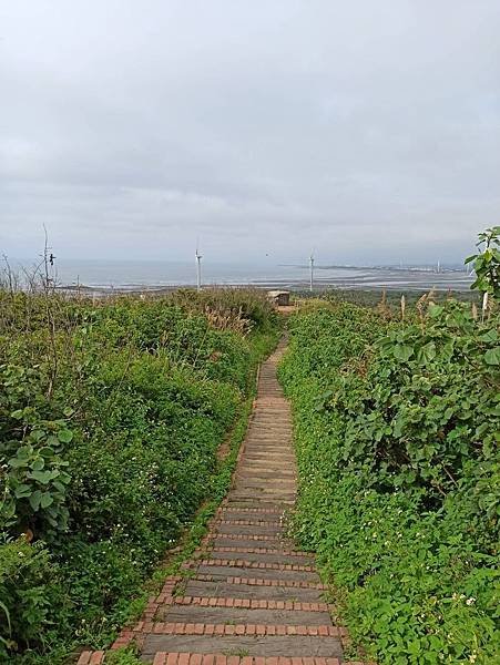 202057後龍好望角_200507_0011.jpg