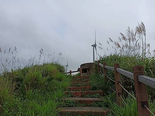 202057後龍好望角_200507_0018.jpg
