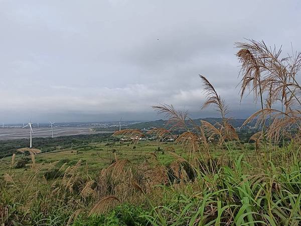 202057後龍好望角_200507_0007.jpg