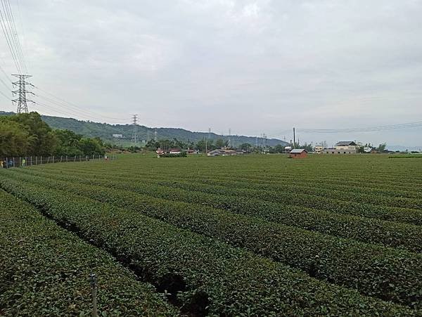 2020426清水岩步道群_200426_0039.jpg