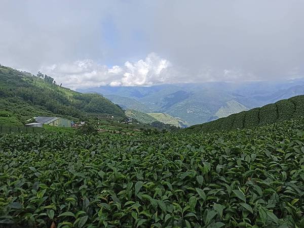2020618二延平步道_200618_0004.jpg